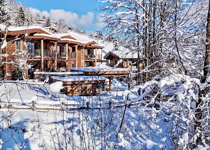 Tirol Wildschoenau 1 By Interhome * ニーデラウ