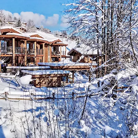 Tirol Wildschoenau 1 By Interhome * Niederau